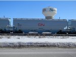 CN 115596 is new to RRPA!